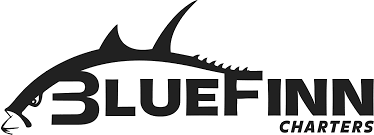BlueFinn