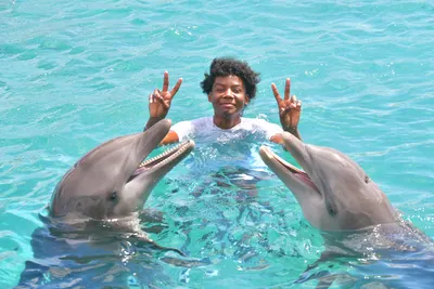 Sea Aquarium