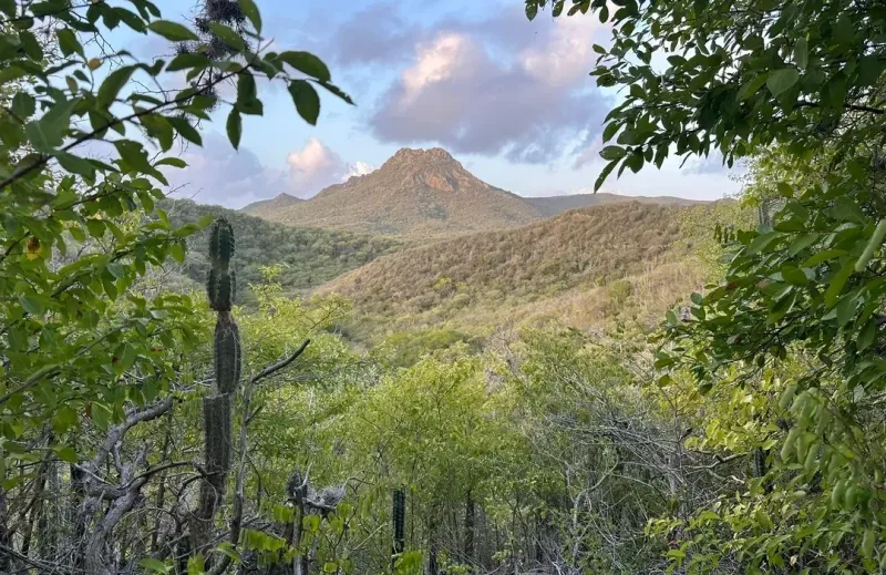 Christoffel National Park & Mountain