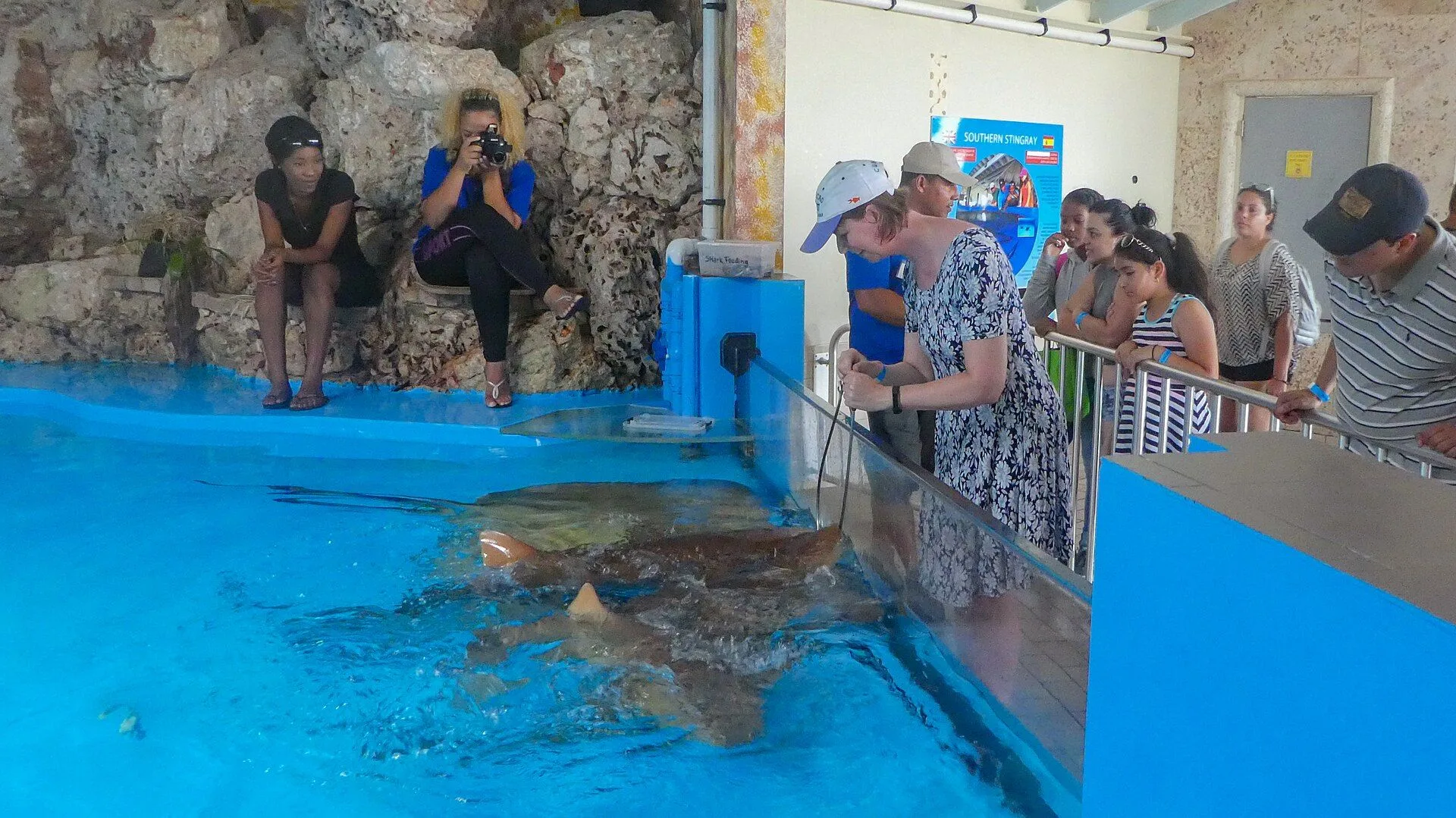 Curaçao Sea Aquarium 3