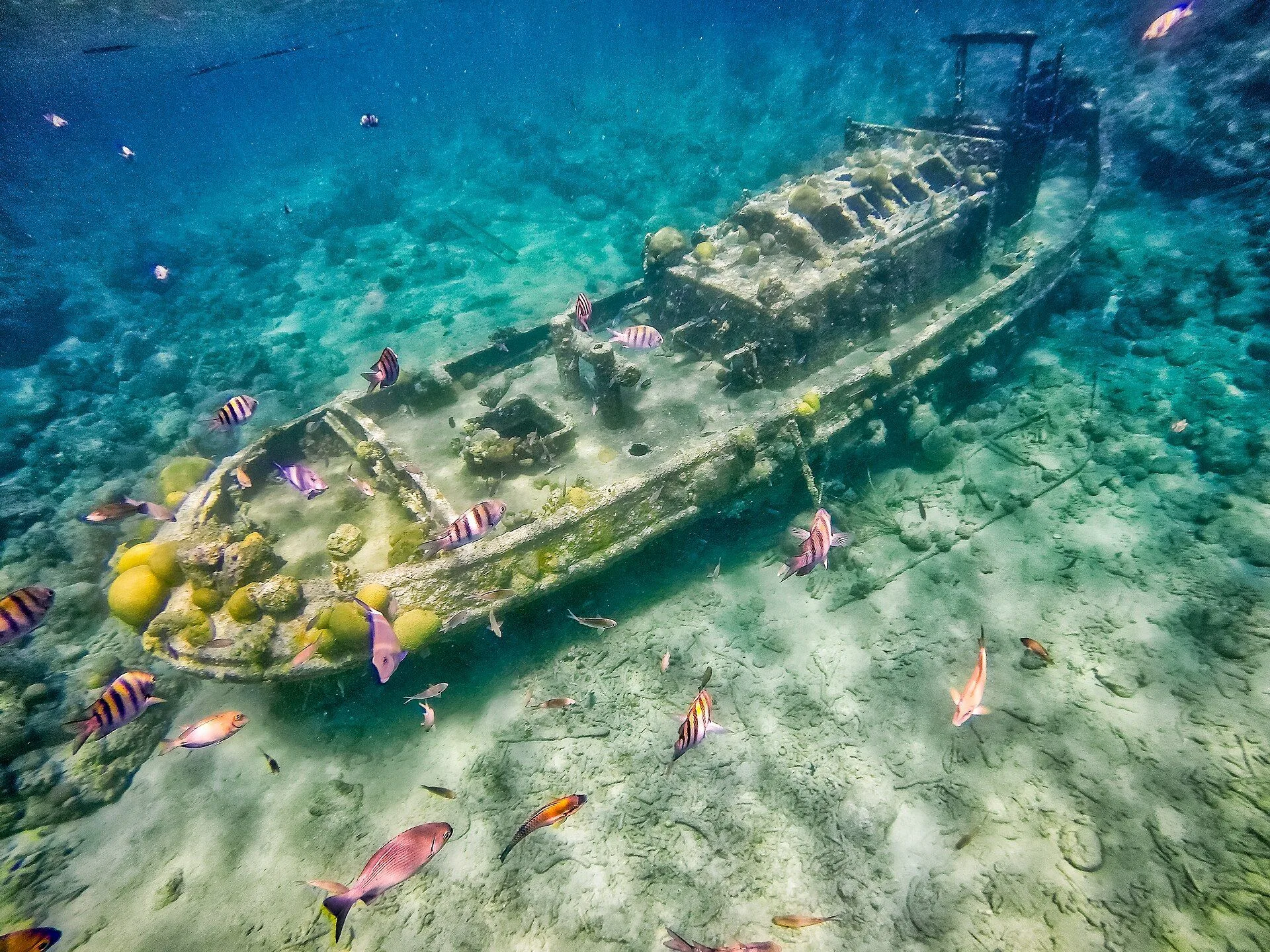 Tugboat wreck