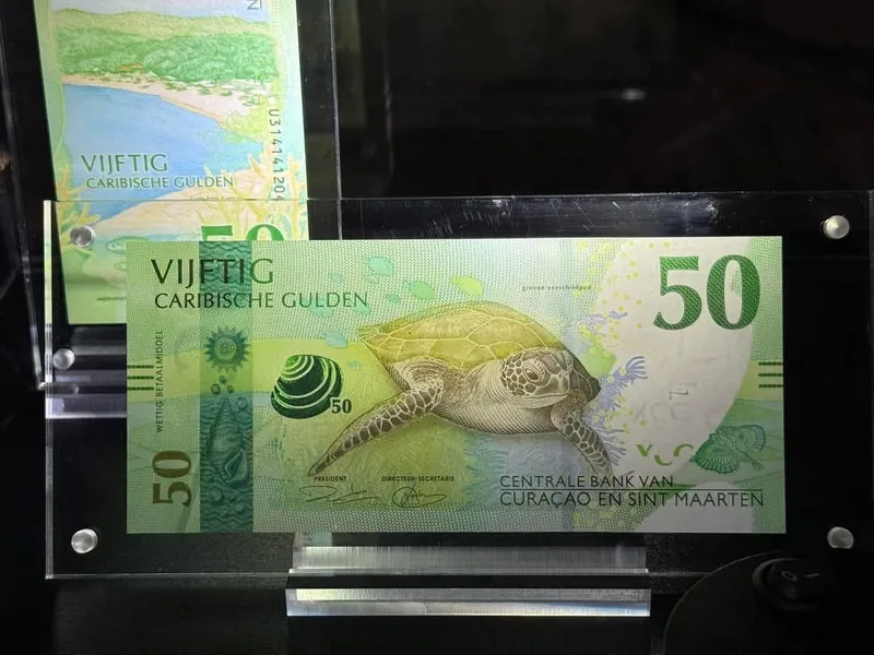 Dinero, pagos y bancos 5