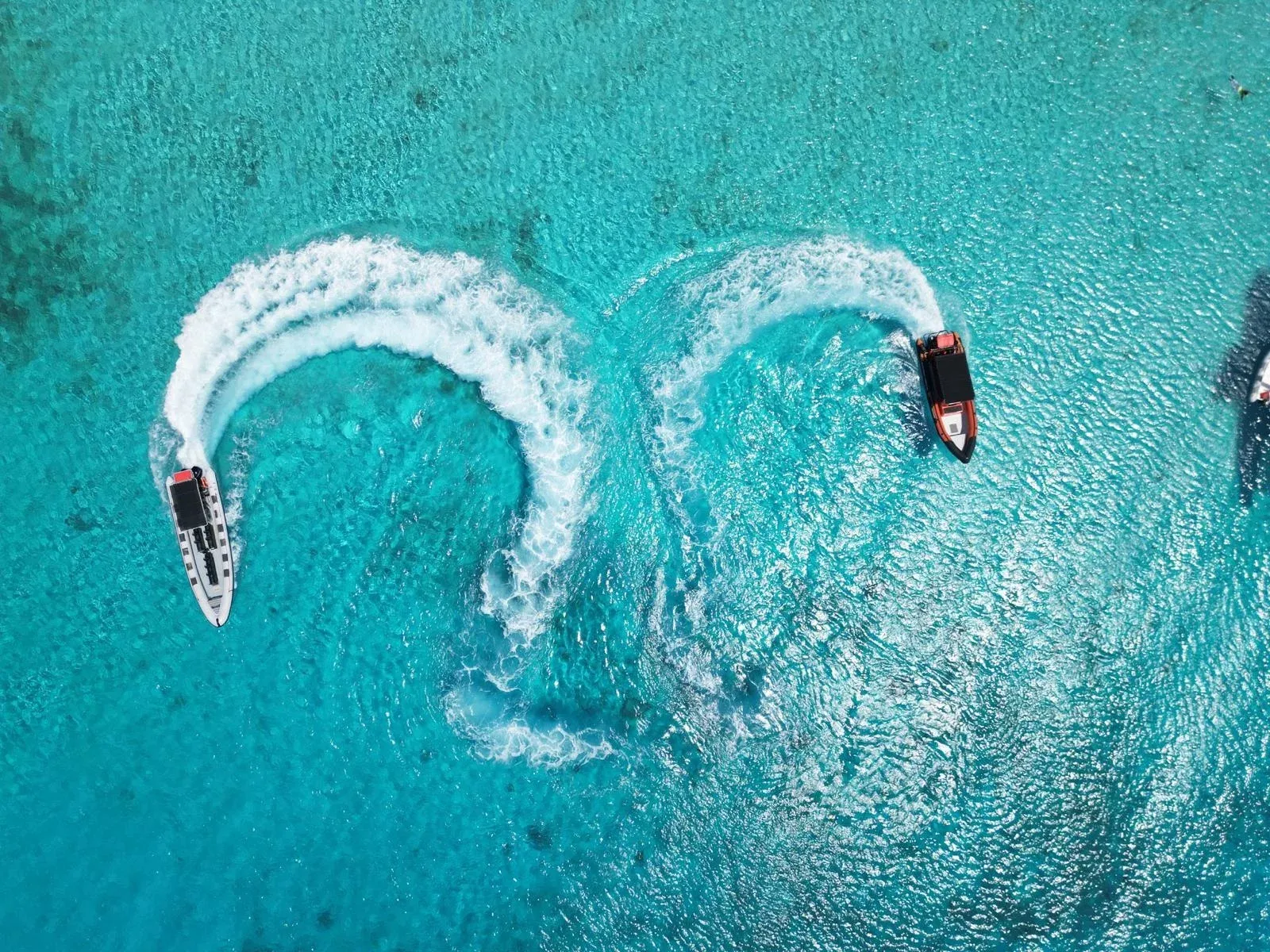 Fastest way to Klein Curacao with the Powerboat​, photo 6