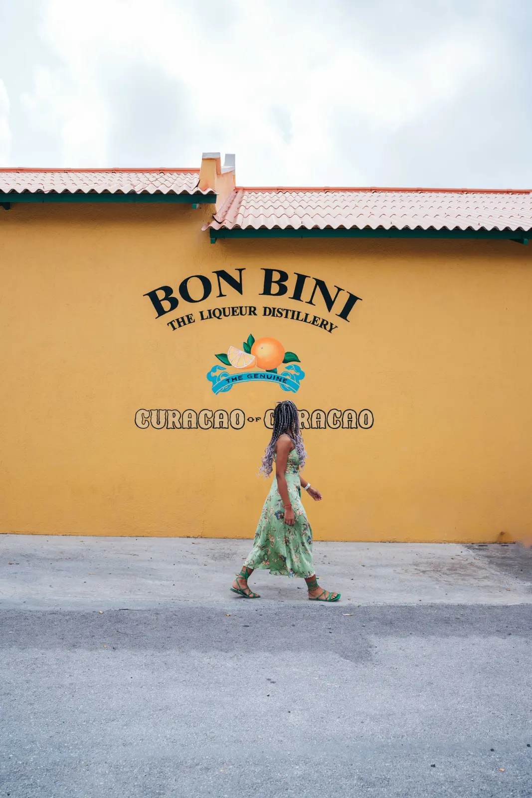 Discover Willemstad and local lunch, photo 5