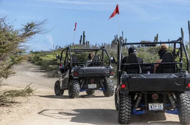 East buggy tour, photo 3