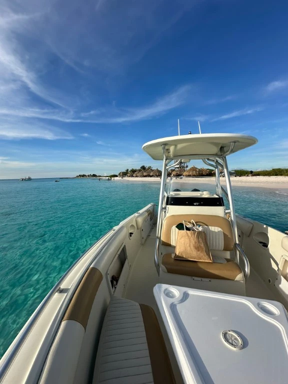 Private 38ft boat charter, photo 3
