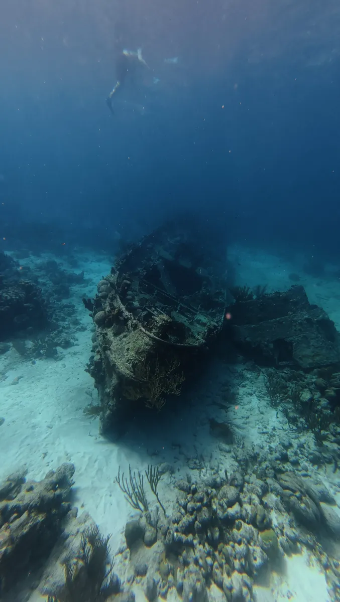 Snorkel tour catamaran, photo 4