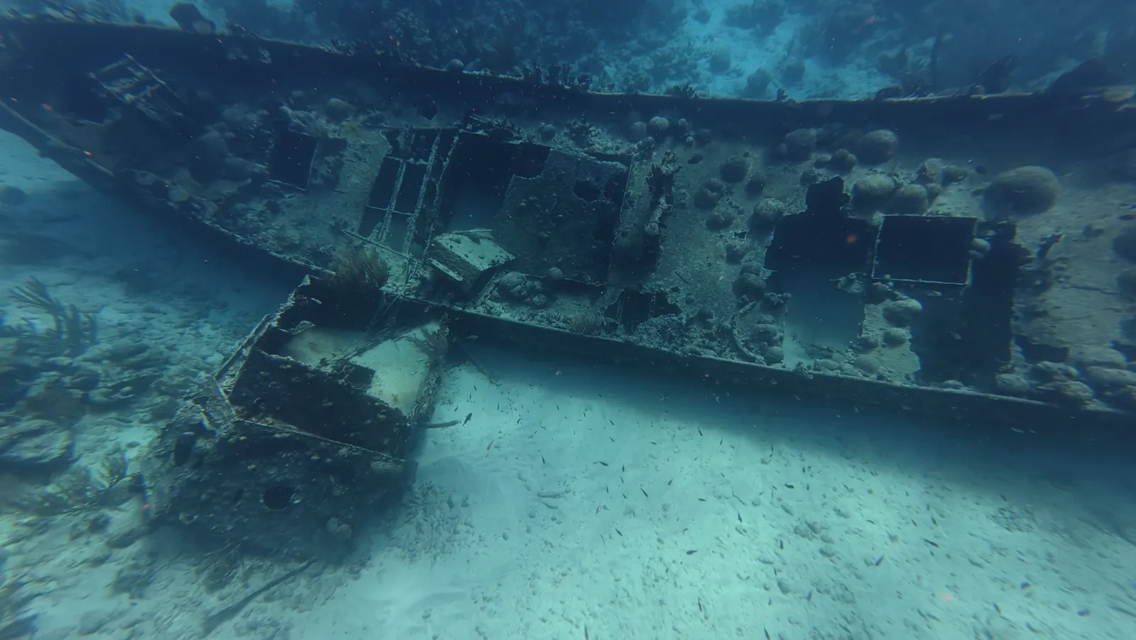Snorkel tour catamaran, photo 9