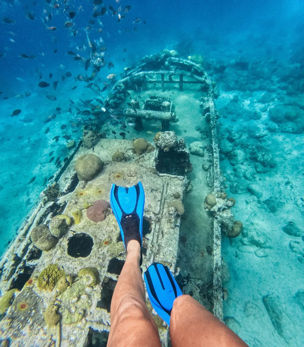 Irie snorkel cruise half day, photo 8