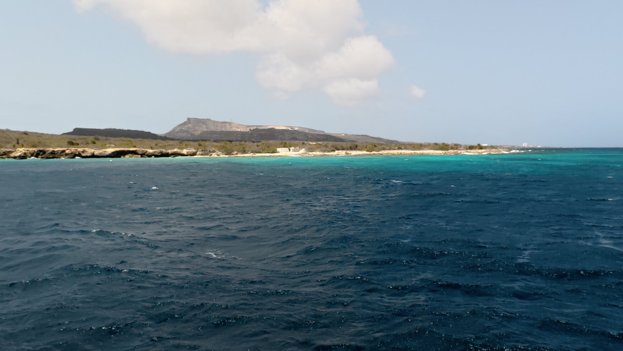 Irie snorkel cruise half day, photo 4