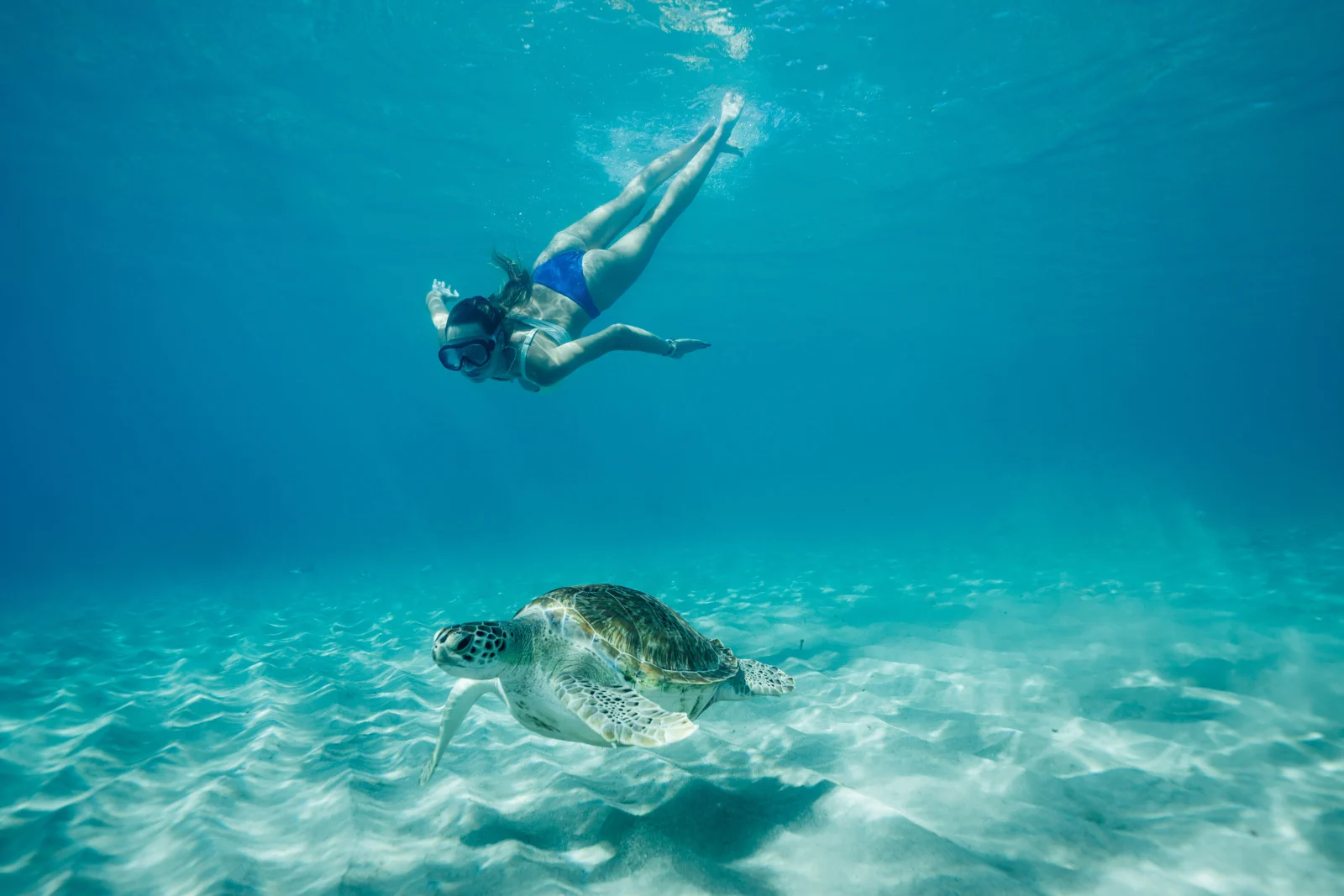 Wonders of Curaçao bus tour, photo 5