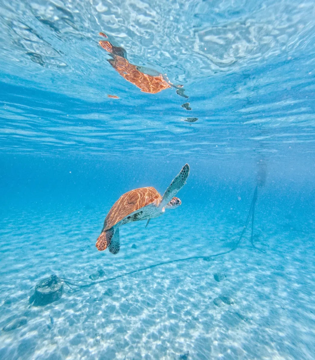 Wonders of Curaçao bus tour, photo 11