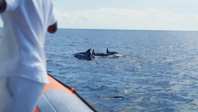 Snelste manier naar Klein Curaçao met de Powerboat