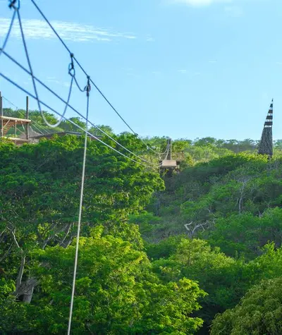 Hofi Mango Zipline Adventure, photo 5