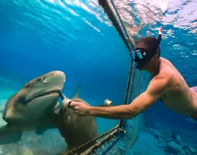 Rencontres avec des animaux