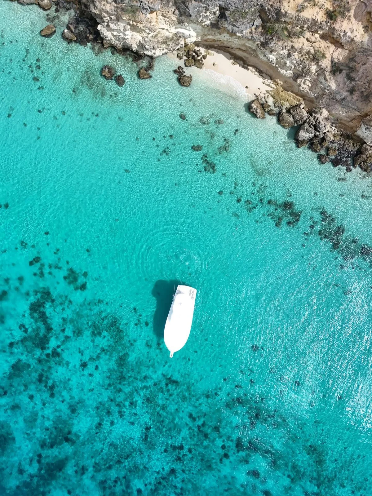 half-day private yacht