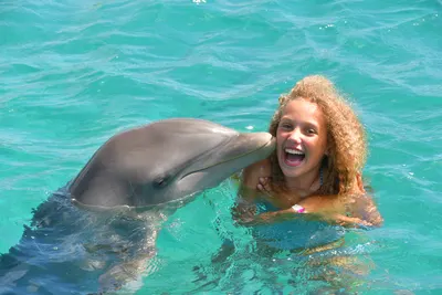 Dolphin Swim, photo 7