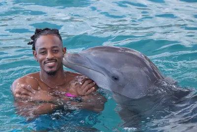 Dolphin Swim, photo 9