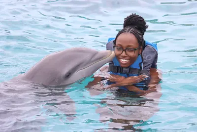 Dolphin Swim, photo 10