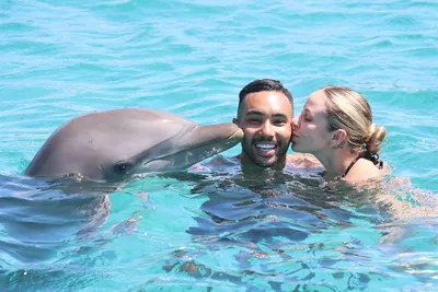 Dolphin Swim, photo 12