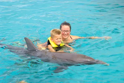 Dolphin Swim, photo 13
