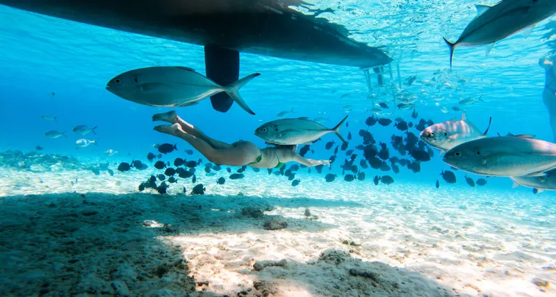 Snorkel tour catamaran