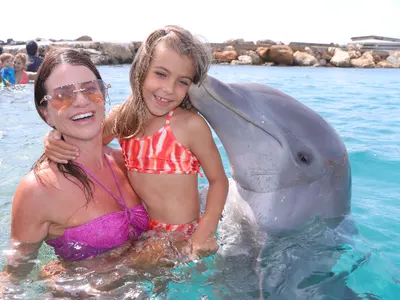 Dolphin Encounter, photo 5