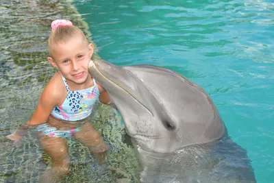 Dolphin Encounter, photo 10