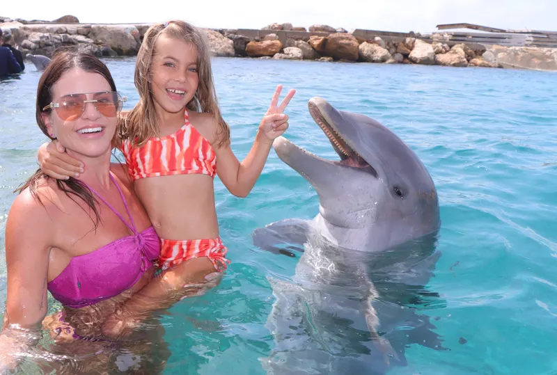 Dolphin Encounter